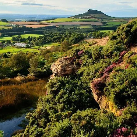 Nyaraló The Rosebud Guisborough